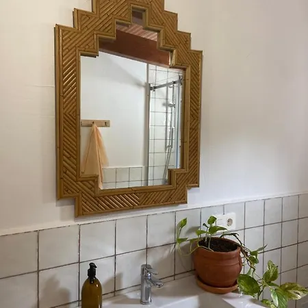 Gospodarstwo agroturystyczne The Wild Olive Andalucia Palma Guestroom