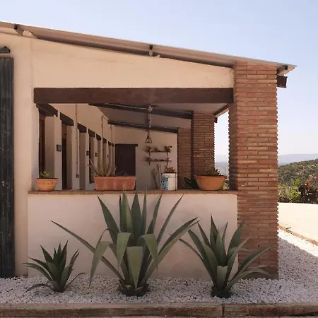 The Wild Olive Andalucia Palma Guestroom