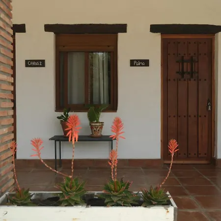 The Wild Olive Andalucia Palma Guestroom
