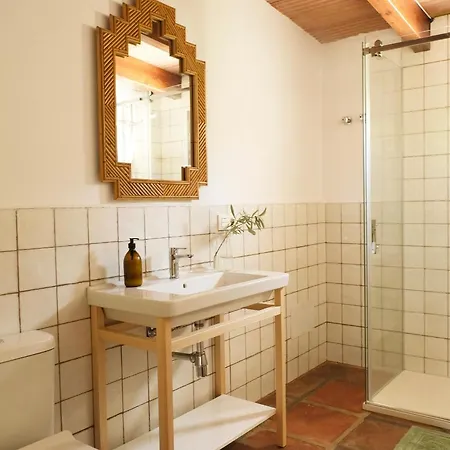 The Wild Olive Andalucia Palma Guestroom